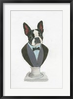 Framed Canine Couture I