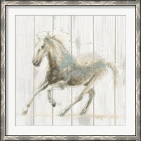 Framed Stallion II on Birch