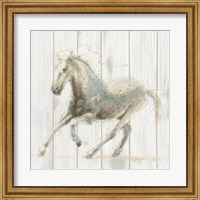 Framed Stallion II on Birch