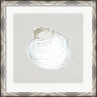 Framed Serene Shells II Tan