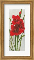 Framed Red Simplicity I