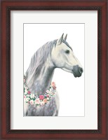 Framed Spirit Stallion I