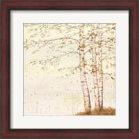 Framed 'Golden Birch II Off White' border=