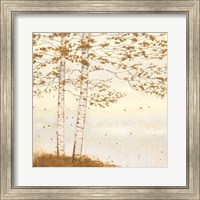 Framed Golden Birch I Off White