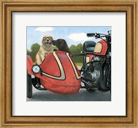 Framed Born to be Wild Crop