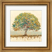 Framed Golden Oak Spice