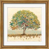 Framed Golden Oak Spice