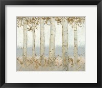 Framed Magnificent Birch Grove