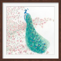 Framed Spring Peacock II Bird