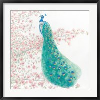 Framed Spring Peacock II Bird