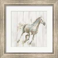 Framed Stallion I on Birch