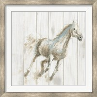 Framed Stallion I on Birch