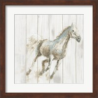 Framed Stallion I on Birch