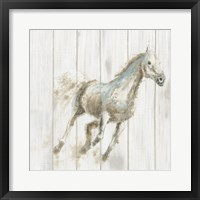 Framed Stallion I on Birch