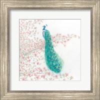 Framed Spring Peacock II