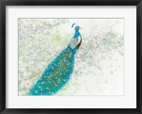 Framed Spring Peacock I