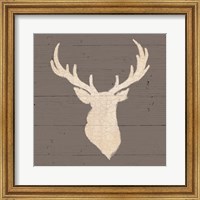 Framed Rustic Elegance I on Gray Wood