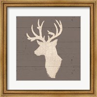 Framed Rustic Elegance II on Gray Wood