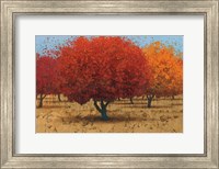 Framed Orange Trees II