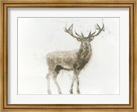 Framed Stag