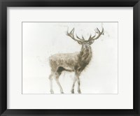 Framed Stag