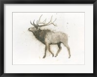 Framed Elk