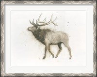 Framed Elk