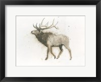 Framed Elk