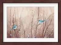 Framed Pretty Birds