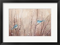 Framed Pretty Birds