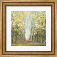 Framed Aspen Grove II