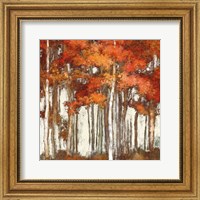 Framed October Woods Light