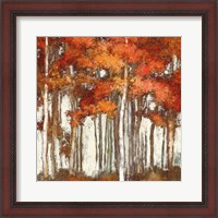 Framed October Woods Light