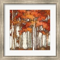 Framed October Woods Light