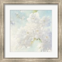 Framed Pear Blossoms