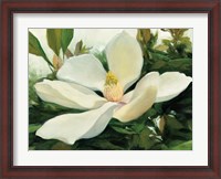 Framed Majestic Magnolia