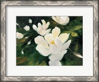 Framed Magnolia Blooms
