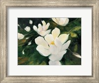Framed Magnolia Blooms