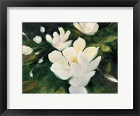 Framed Magnolia Blooms