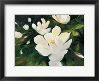 Framed Magnolia Blooms