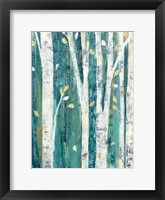 Birches in Spring III Framed Print