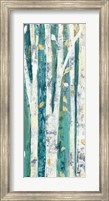 Framed Birches in Spring Panel III