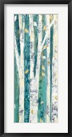 Framed Birches in Spring Panel III