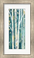 Framed Birches in Spring Panel I