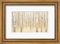 Framed Birches in Winter