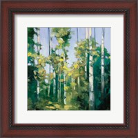 Framed Birches