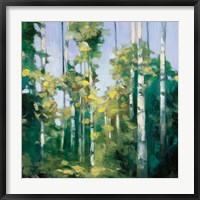 Framed Birches