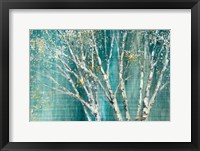 Framed Blue Birch Horizontal