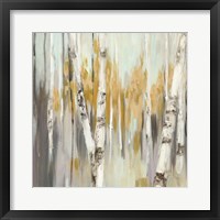 Framed Silver Birch I