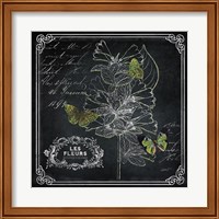 Framed 'Chalkboard Botanical II' border=